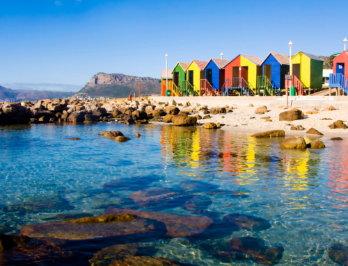 Untamed Imaginations: Family Fun in the Wilds of Cape Town